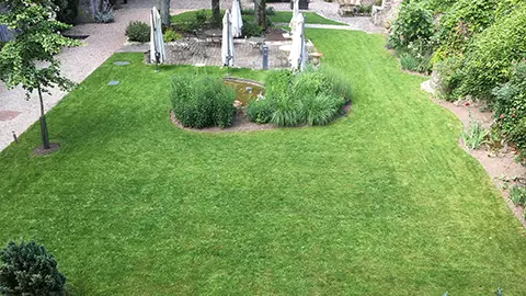 Pelouse engazonnée et entretenue dans le Loir-et-Cher