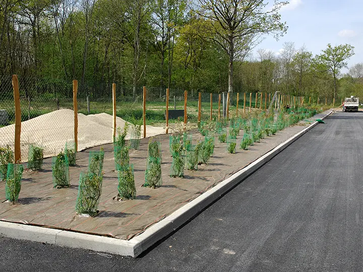 Plantation d’une haie paysagère sur un chantier dans le Loir-et-Cher